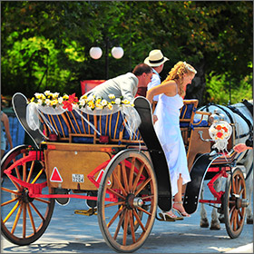 Horse Carriage on Thassos Island, Greece